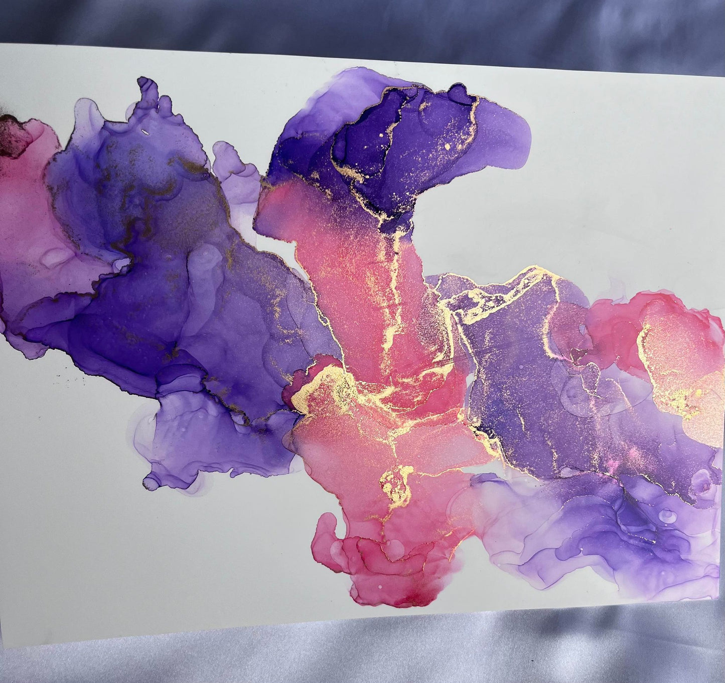 pink and purple Bird